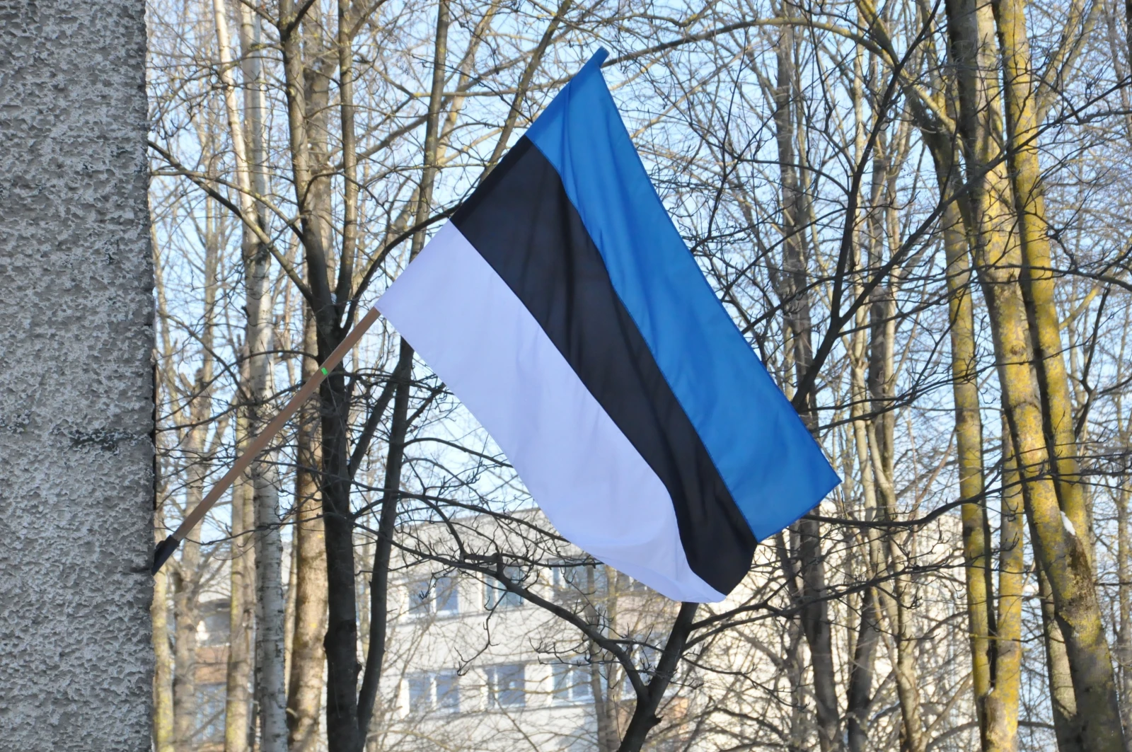 МИД Эстонии вызвал временного поверенного в делах России