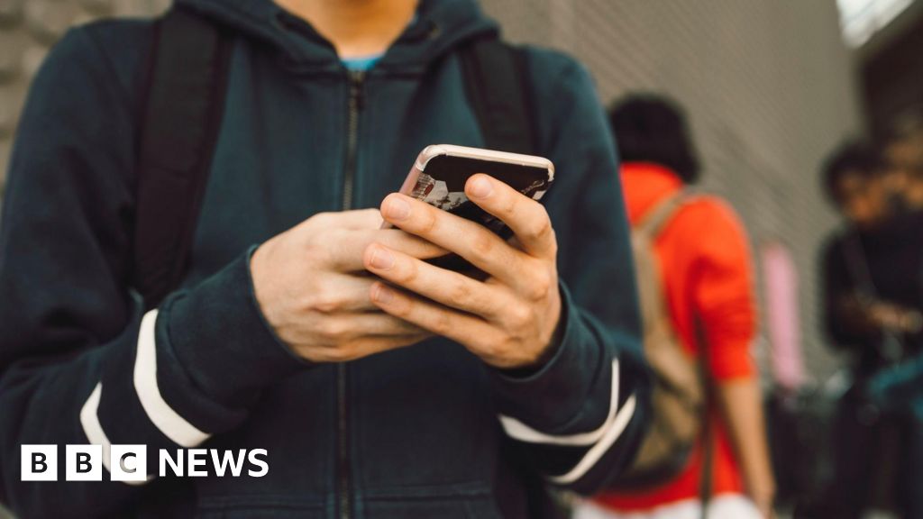 UK police bosses say unsafe social media platforms should be blocked for under-16s