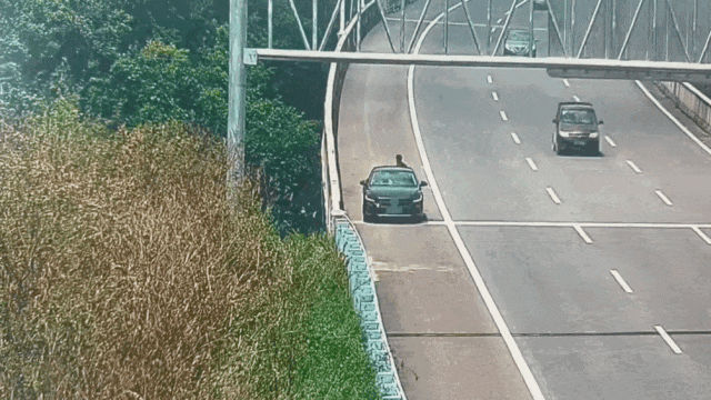 高速上司机突发呼吸性碱中毒 交警隔空指导助脱险