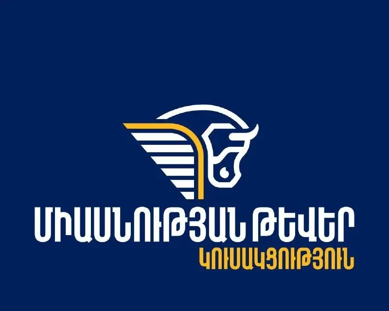 Մեզ չեն ֆինանսավորում ո՛չ նախկինները, ո՛չ օլիգարխները․ «Միասնության թևերի» պատասխանն իշխանական քարոզչությանը