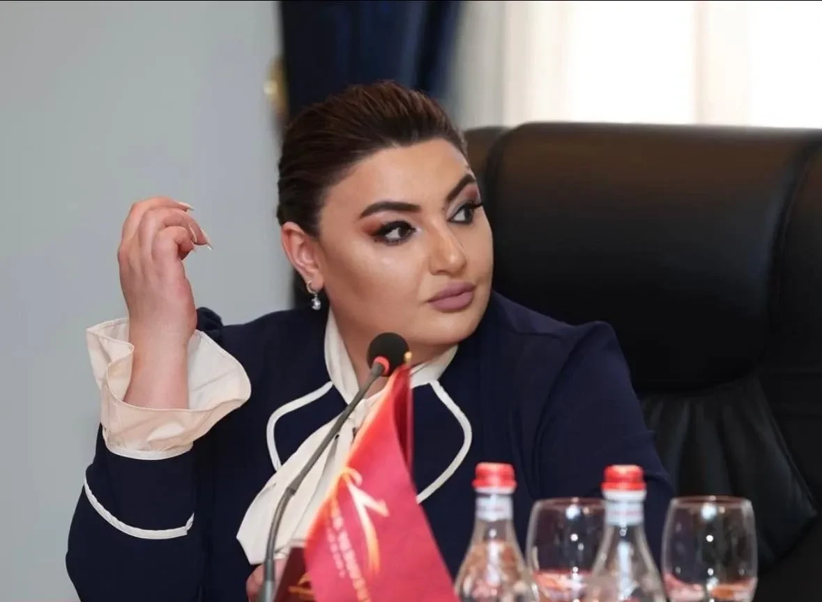 Մեզ համար դիվանագիտությունն արկածախնդրություն չէ. Իվետա Տոնոյանը՝ Փաշինյանի հայտարարության մասին