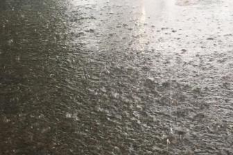 把稻种“印”纸上再铺到田里 水稻育秧太省心了