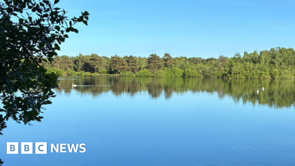 Search for boy, 15, missing in nature reserve lake