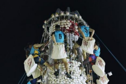 宁夏枸杞入港出海拓国际市场