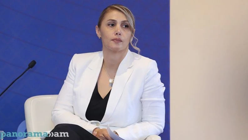 7 առաջարկ Հայաստանին, որ ուզում եմ առանձնացնել և շատ կարևորում եմ ԲՀԿ ծրագրում. Էլինար Վարդանյան