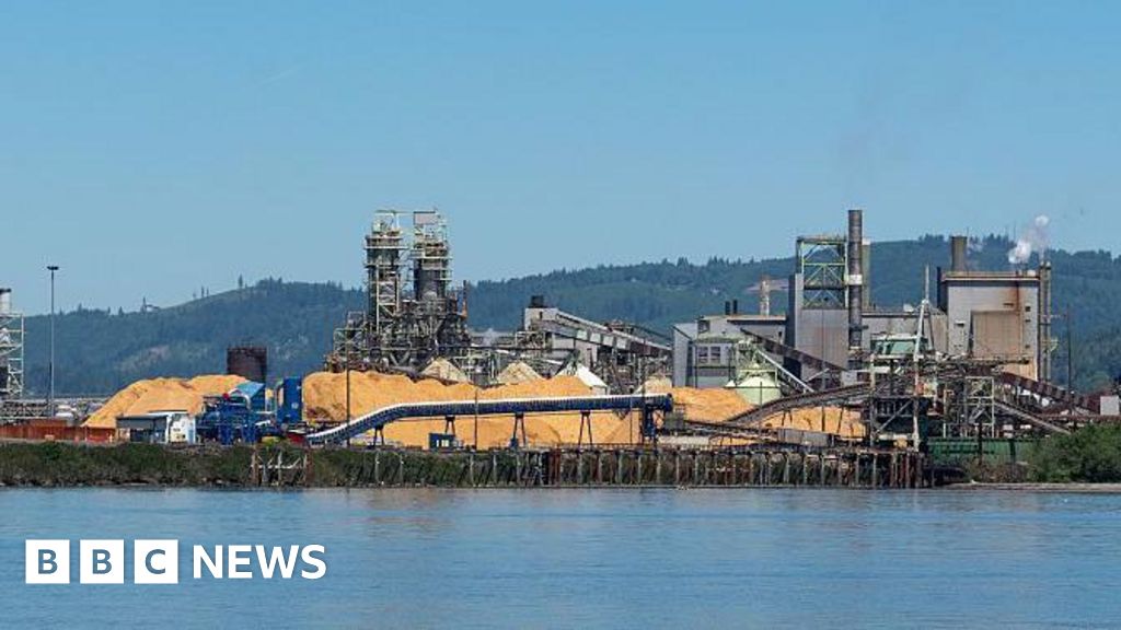 One killed and nine missing after chemical explosion at US paper mill