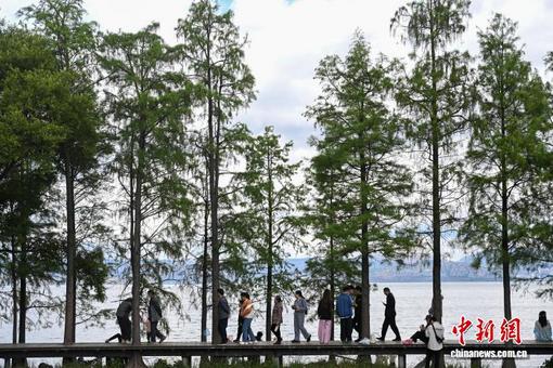 短视频里解民忧 湖南新化探路融媒赋能基层治理新路径