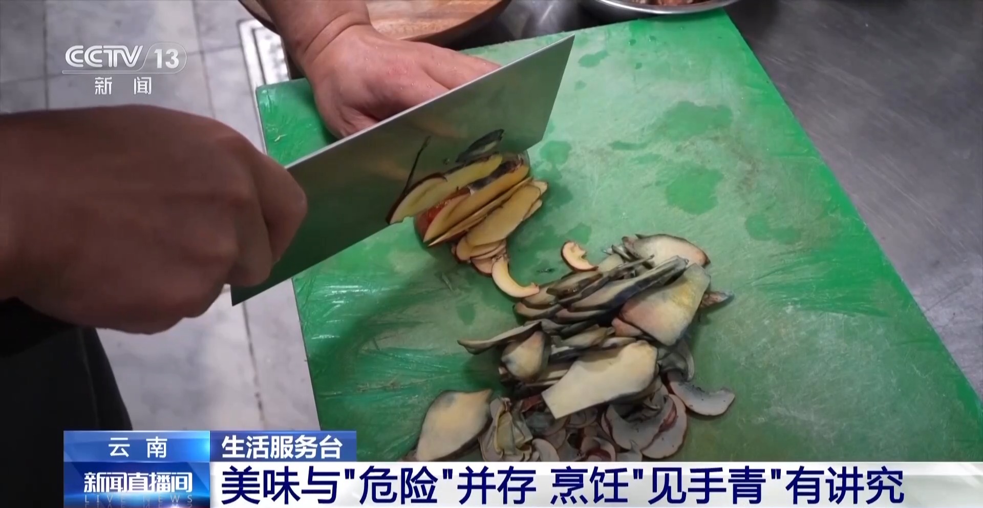 又到野生菌中毒高发季 专家教你如何正确识菌