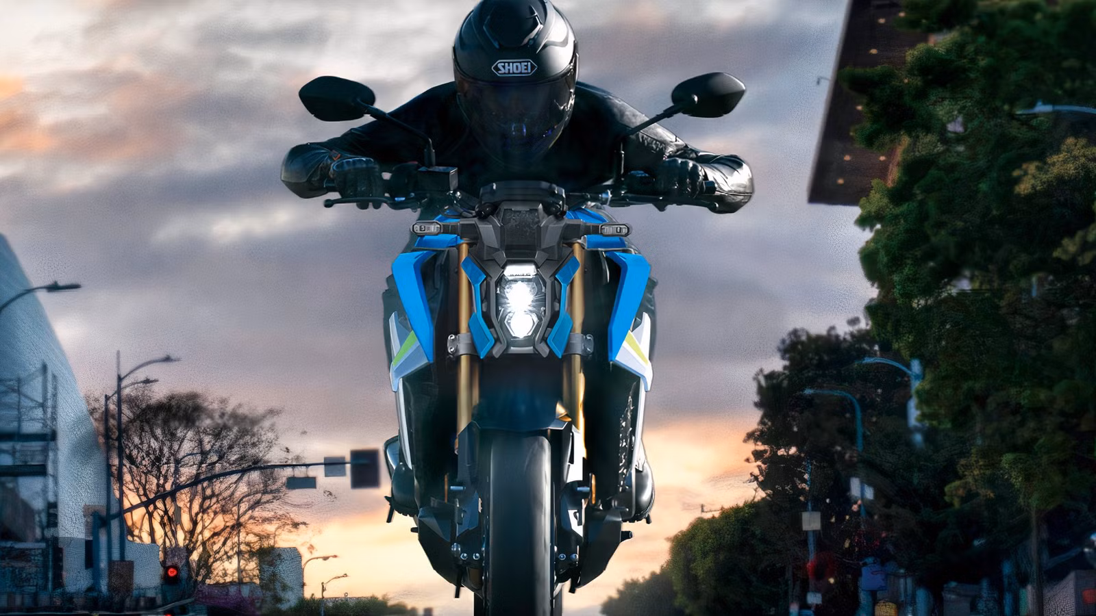 This Performance Bike Delivers Thrills Without The Stress