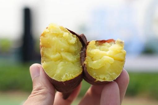 切勿出借个人外汇额度！400余名老人被当换汇“黄牛”工具人