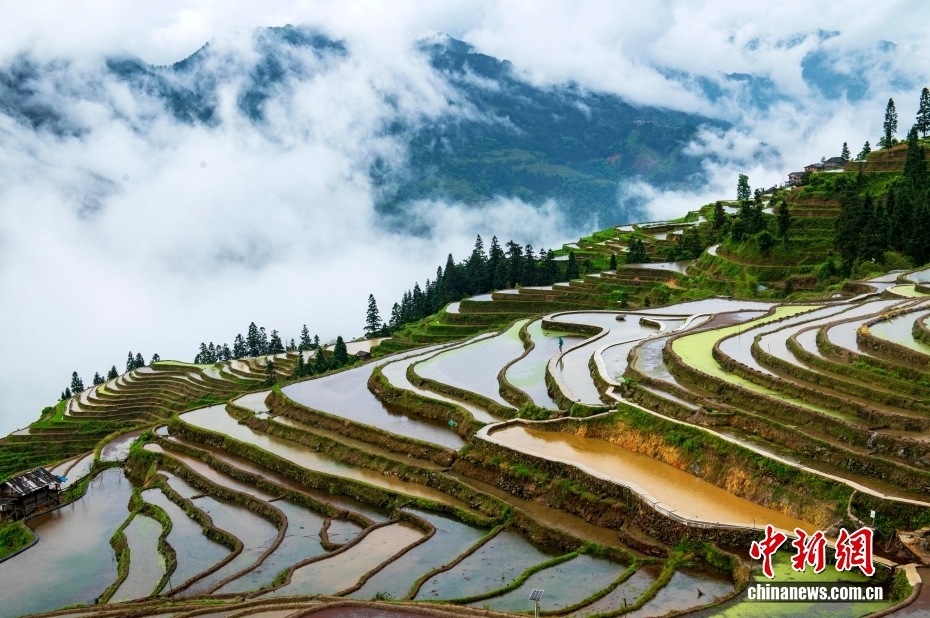 贵州从江：雨后梯田 水墨画卷