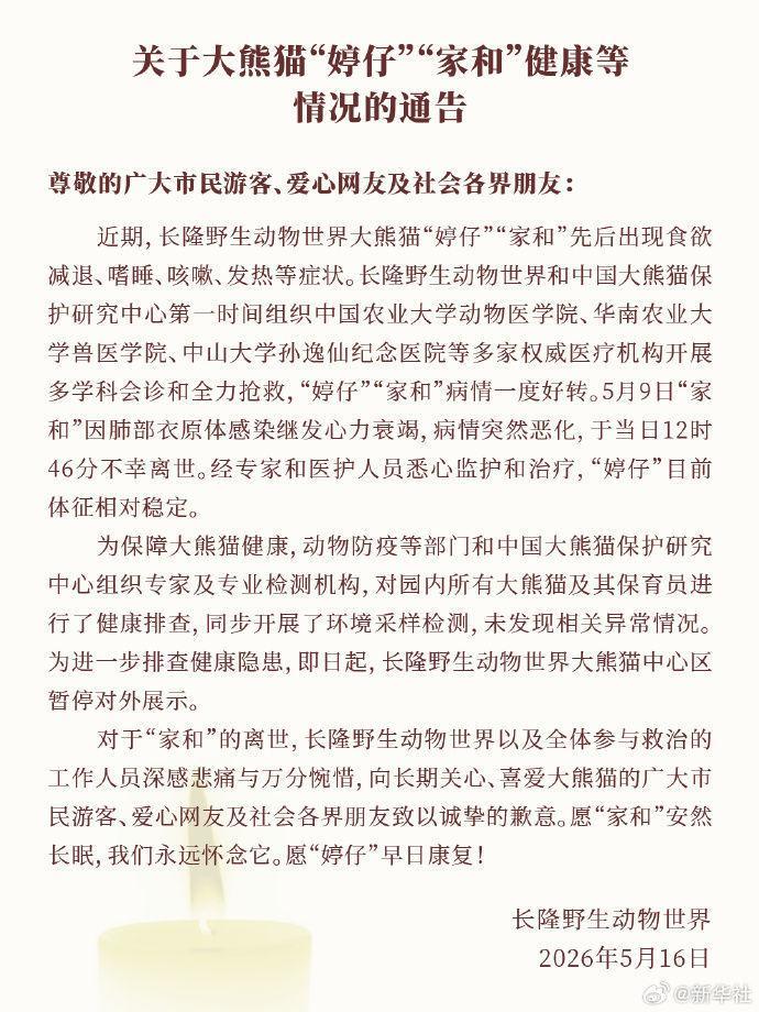 广州长隆野生动物世界：大熊猫“家和”因病离世