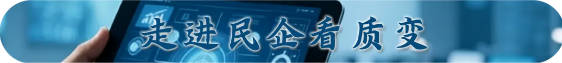 握稳创新方向盘 中国民营车企出海“驭”高峰