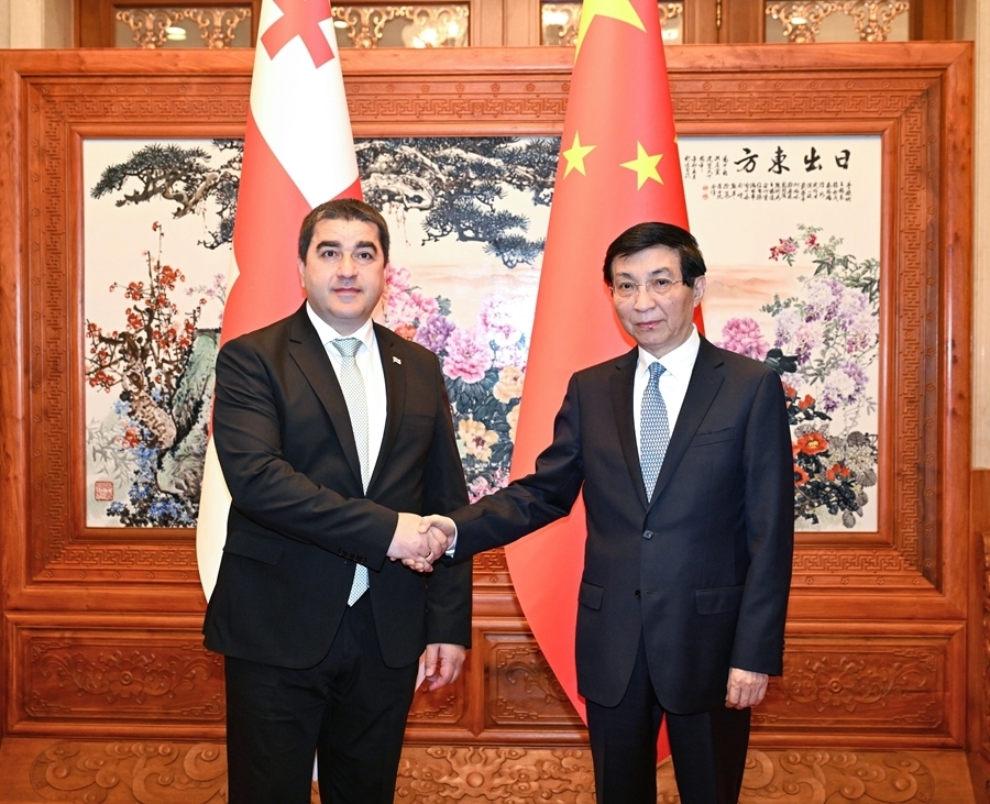 王沪宁会见格鲁吉亚议长帕普阿什维利