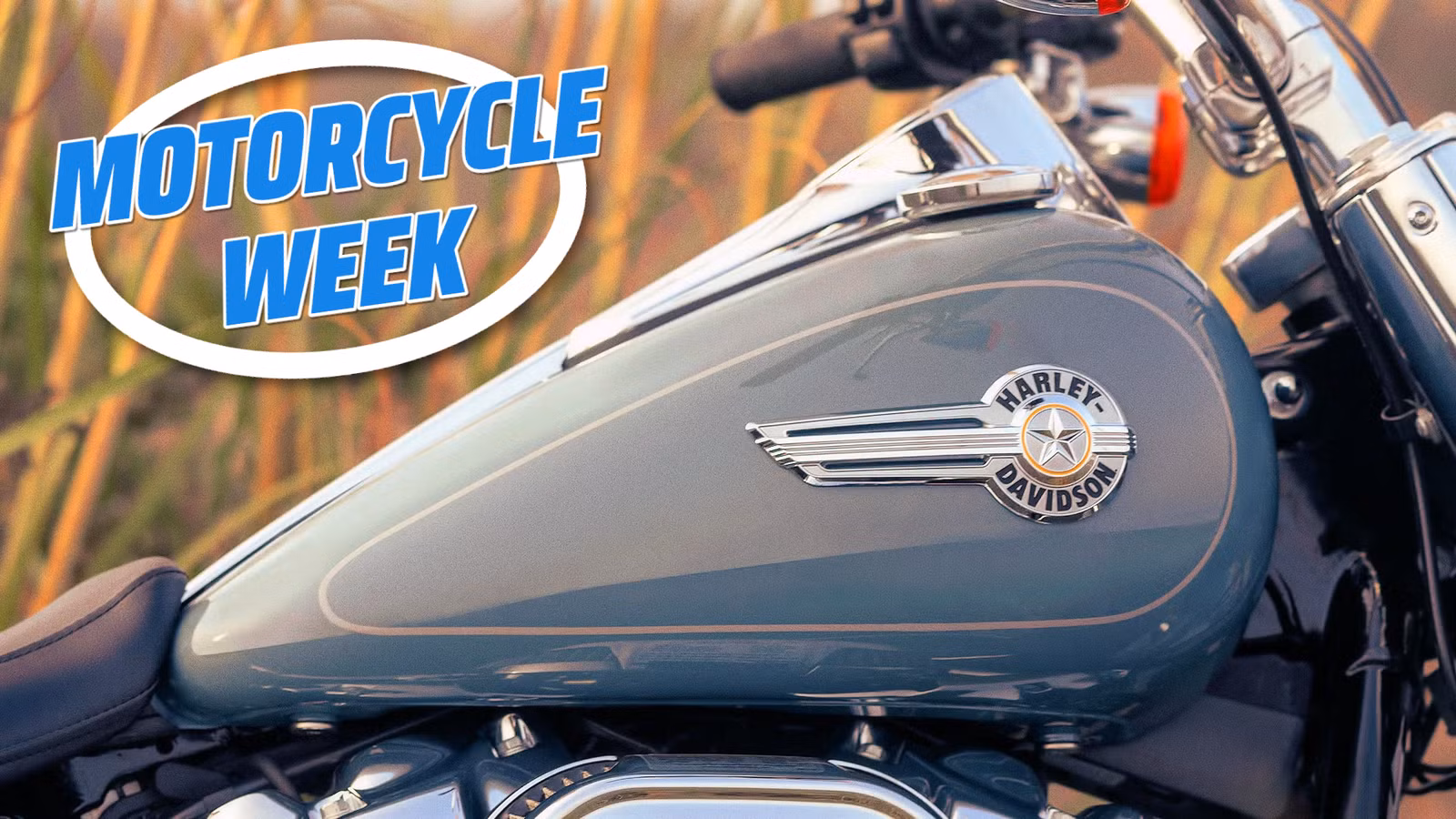 Harley Fat Boy vs. Suzuki Hayabusa: How Two Iconic Bikes Rewrote Rules