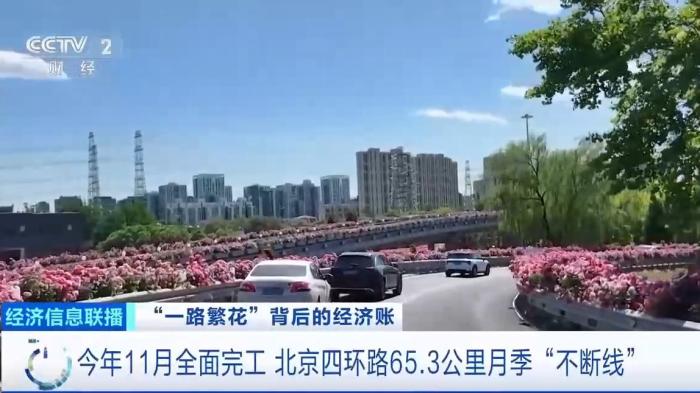 一路生花！火出圈的“月季项链”背后还有这些黑科技