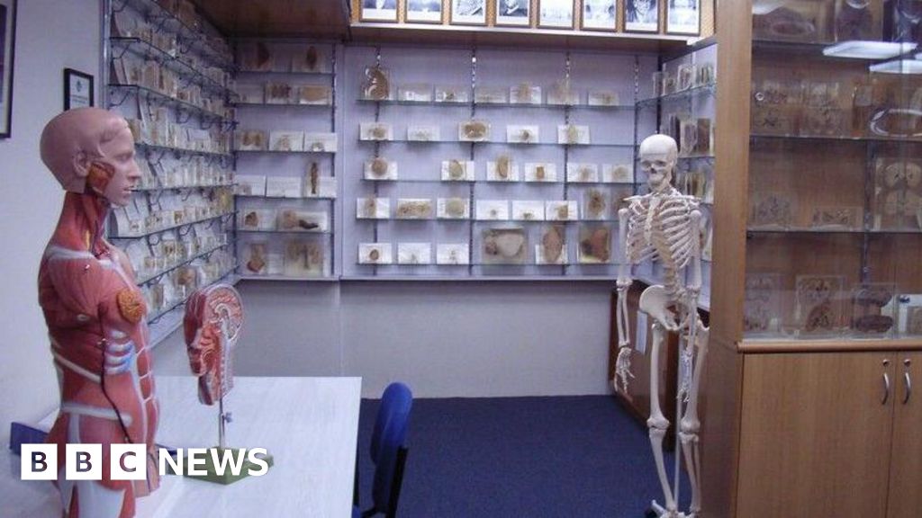 Tasmanian government apologises over stolen body parts scandal