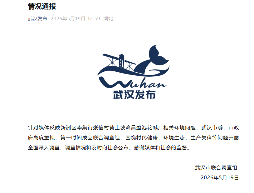 武汉通报“昌盛泡花碱厂环境问题”：成立联合调查组