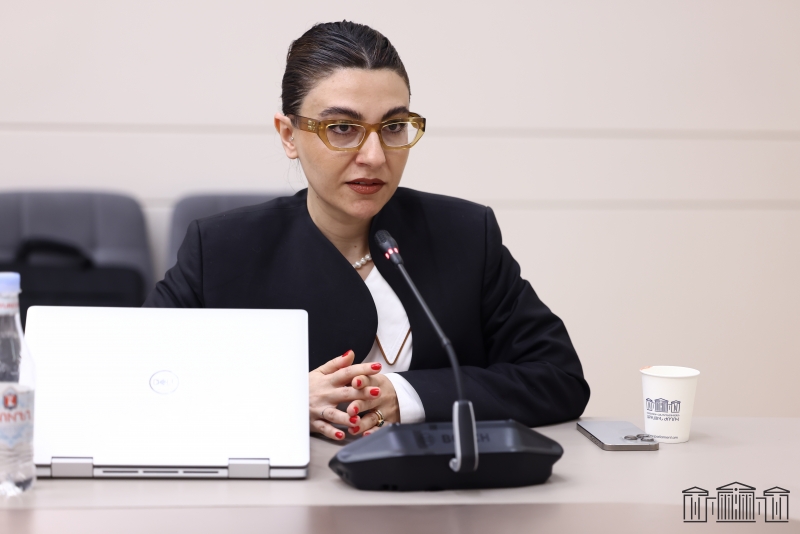 Հայաստանի իշխանությունները որոշել են զբաղվել գույքի նկատմամբ իրավունքների գրանցման ժամանակ թույլ տրված սխալներով