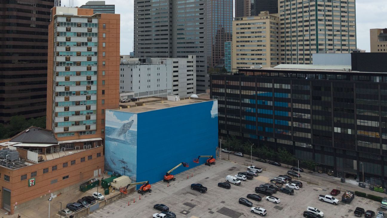 Outcry as WCup art replaces Dallas whale mural